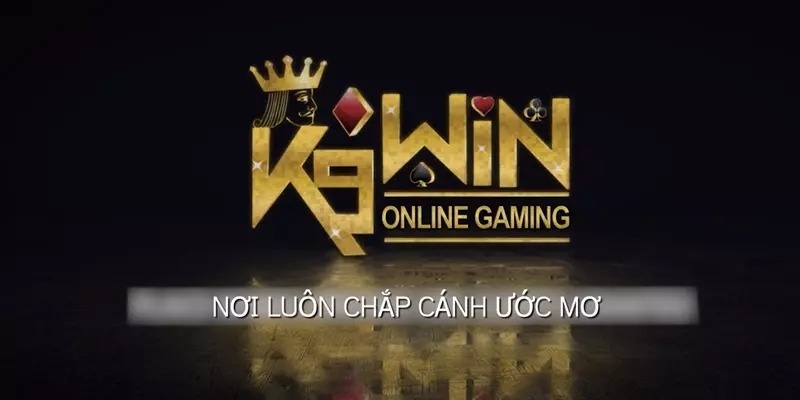 Giới thiệu K9WIN