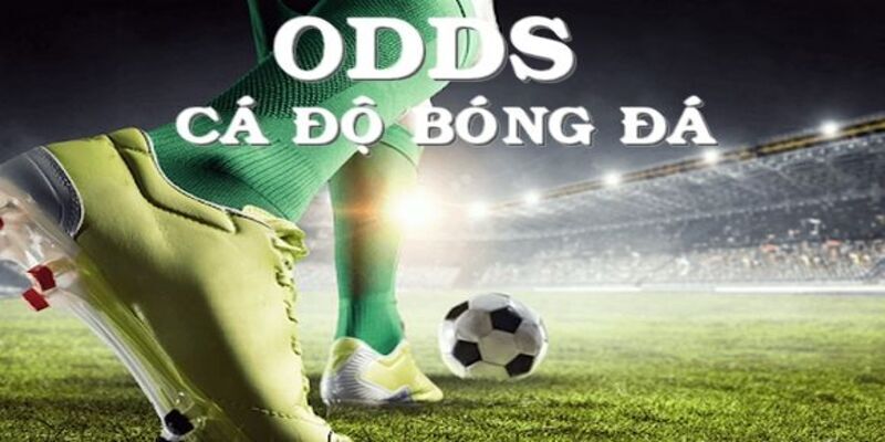 Giải thích về tỷ lệ Odds trong cá độ bóng đá